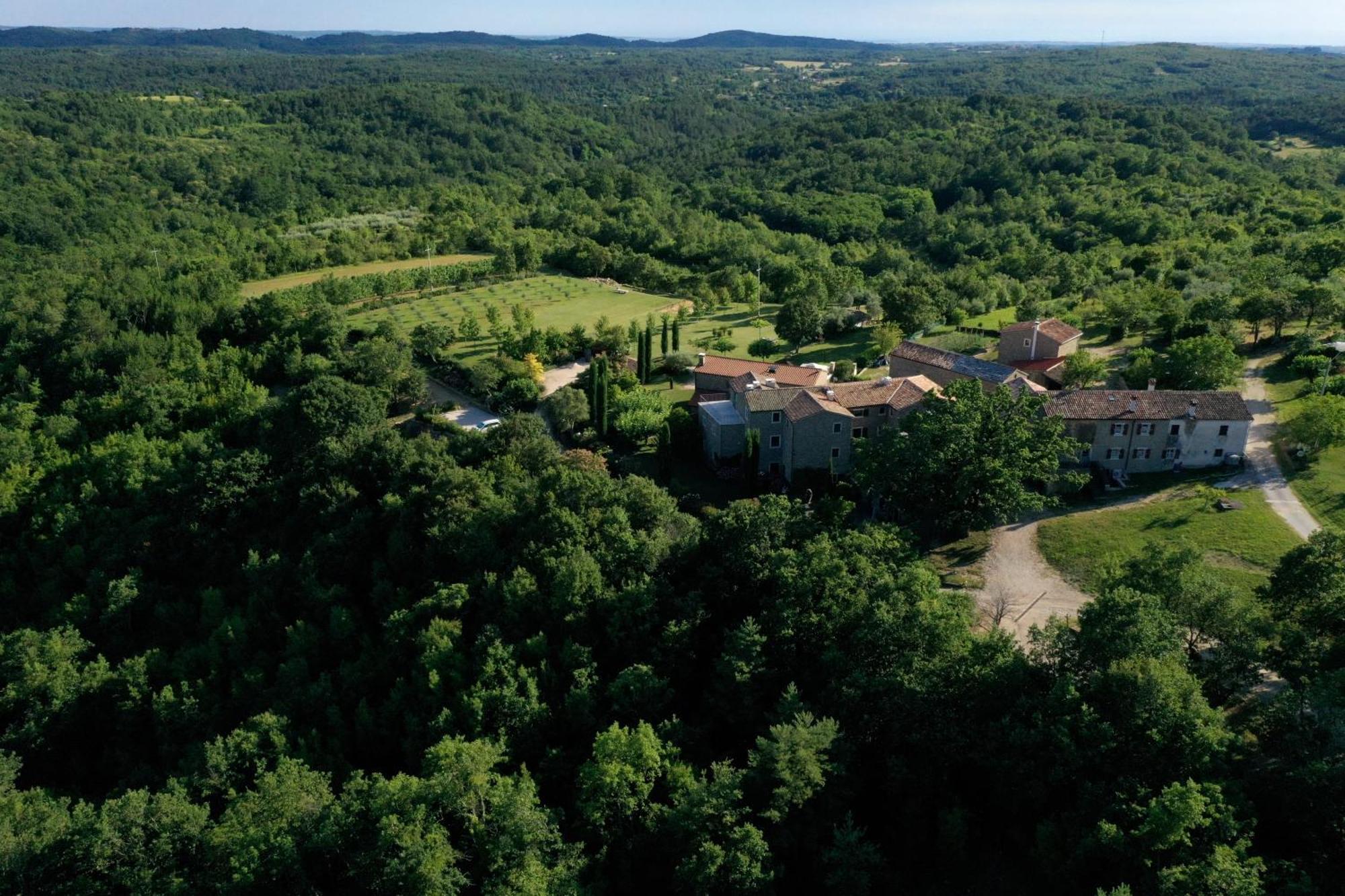 L'Abbraccio Della Quercia Daire Momjan Dış mekan fotoğraf