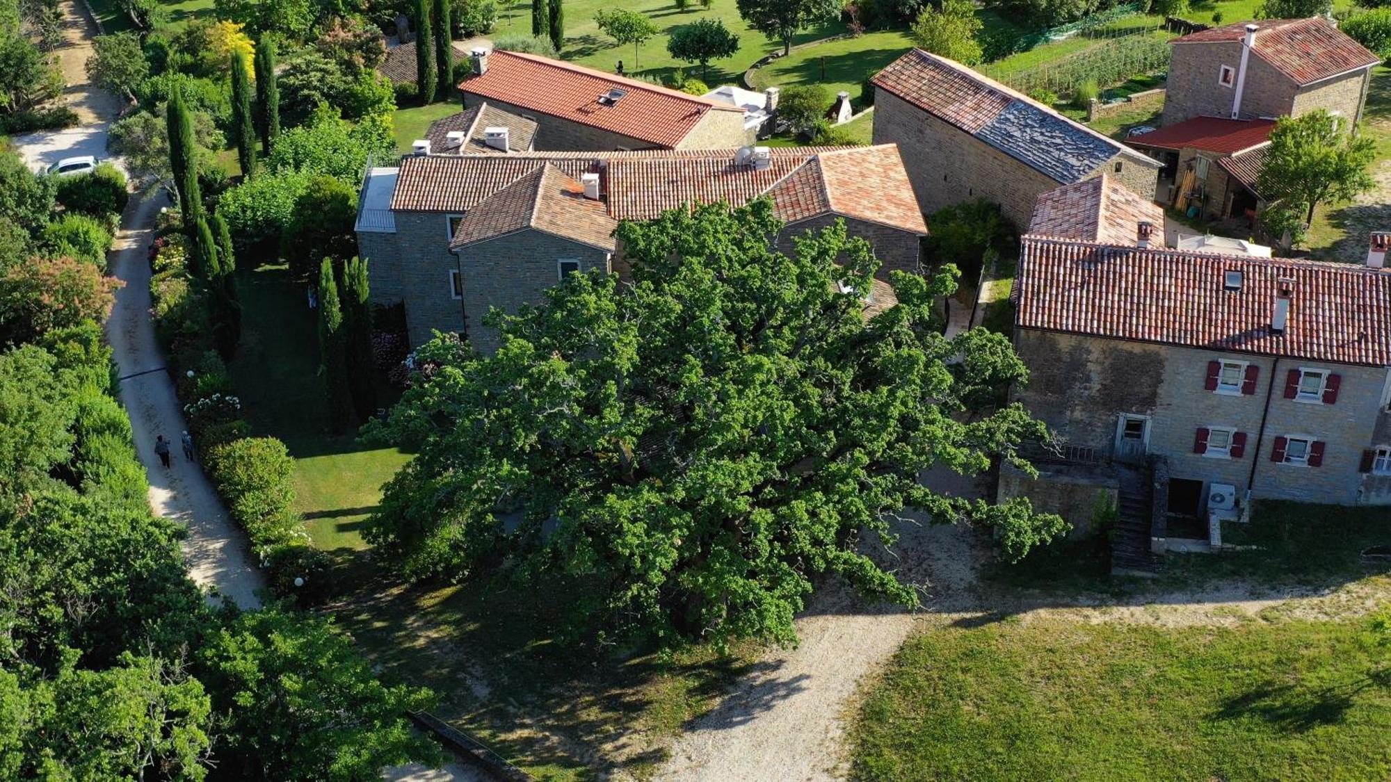 L'Abbraccio Della Quercia Daire Momjan Dış mekan fotoğraf